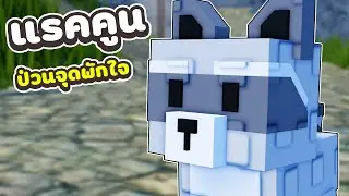 แต่งเป็น แรคคูน ไปแกล้งผู้เล่นในจุดพักใจ 🦝 | Roblox แกล้งคน