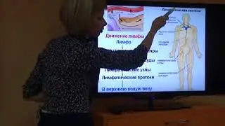 Здоровье Лимфатической система с NSP