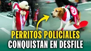 Manejan scooter, tocan piano y juegan fútbol: Perritos deslumbran en la Gran Parada Militar