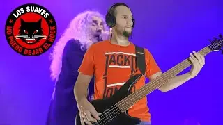 Los Suaves Cover Bass: Destrozando 