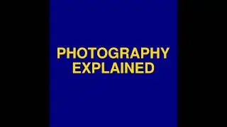 Composition Made Simple: The Rule of Thirds for Beginners