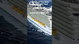 Top 15 biggest cruise ships in the world (January 2024)