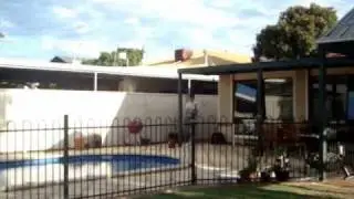Amazing basketball shots