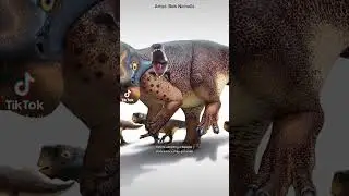 The Most Well Studied Dinosaur in the World