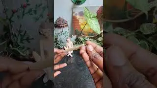 Low budget nail art 😁#shortvideo #shortsfeed #shorts #trending #viral #malayalam #viralvideo