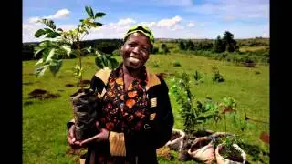 Amashyamba yacu By TOP5SAI Music 2015 Jay Poly Bruce Melody Lucky Coco