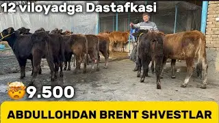 🤯Rekord.. Abdullah Fermasidan 40 Bosh Shvest hunojinlar Sotuv boshlandi ulgurib qoling