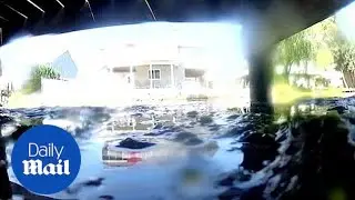 Family fends of rabid otter attack while paddle boarding - Daily Mail