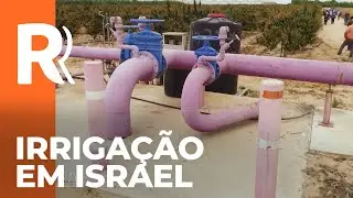 Como Israel transformou escassez em abundância com tecnologia de irrigação