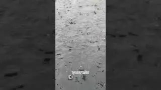 बारिश का अद्भुत अन्नद 🙏 #barish #vrindavan