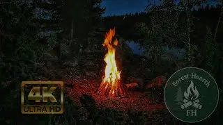 4k Dark Forest Campfire 🔥 Relaxing Sounds for Sleep & Meditation (2H) 2k 4k