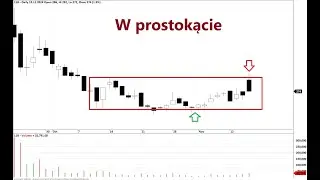 11 Bit Studios 15.11.2024 r. &ndash; 100s z Piotrem Neidek