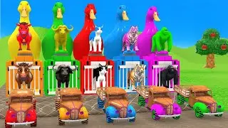 Long Slide Game with Cow Elephant Gorilla Hippopotamus Tiger 3d Animal Game Funny 3d Animals