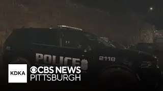 2 teenagers charged in connection with shots fired incident in North Braddock