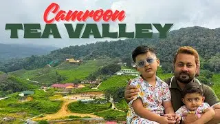 Road Trip from Kuala Lumpur to Cameron Highlands | Tea Valley Adventure 🌿🇲🇾 | @arshimaq Vlog