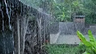 Storm Sounds for Sleeping 🌩️ Heavy Rain, Thunder & Wind | Deep Sleep