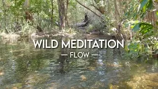 Connect with your Flow | 5-Minute Guided Nature Meditation with Relaxing Water Sound