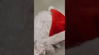 So...I got to do this #shorts #santa #christmas