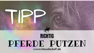 Tipps & Tricks 🐴 Pferde richtig putzen 🧼 #pferd #hufpflege #horsehack