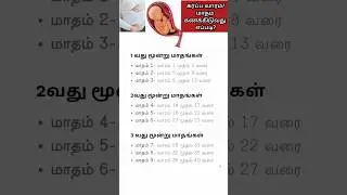 Pregnancy weeks & months calculation #shorts #short #shortvideo  #pregnancy