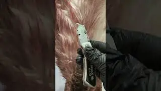 Carpet Blade for Easy Skinning of Game! #deerhunting #venison