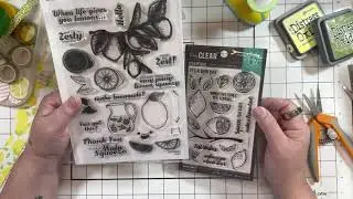 Lemon Journal Pt 3 - Wraparound Double Pockets