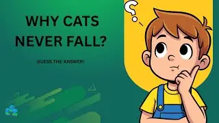 CATS & GRAVITY         Emoji Puzzle Zone