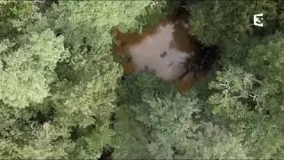 Bonus Cap Sud Ouest :  Le Ciron, un site natura 2000