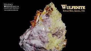 Wulfenite - Rowley Mine, Arizona, USA - Studio Mineralia Earth Art Gallery