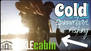 Winter Bass Fishing South Africa
