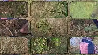 Hard Wark Vlogging Video||vlogs# video# village life style vlogs 