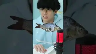 Бумажный кораблик, который ПЛАВИТ ВЕЧНО😱(МИРОВОЙ РЕКОРД &mdash; 4 ДНЯ)
