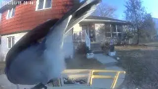 Daily Birdwatching - Netvue Birdfy Birdfeeder Cam - January 16, 2026