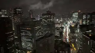 Park Hyatt Tokyo deluxe suite room tour. 
