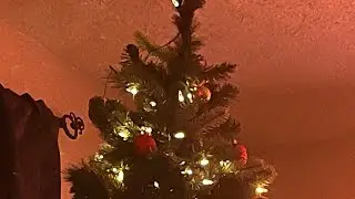 Счастливого Рождества! #Маленькая бурая птичка #Охота и рыбалка