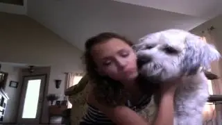 piinksparkles contest entry-furry friends tag