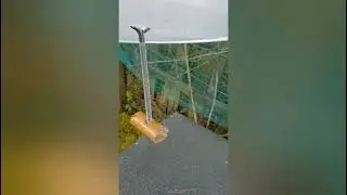 Simple chicken  Bucket feeder