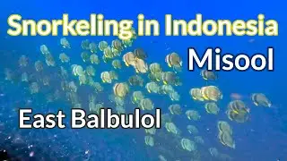 East Balbulol, Misool, Raja Ampat - 4K Snorkeling in Indonesia