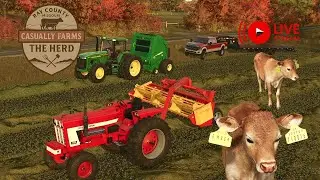 Alfalfa Prep & Baling for Cattle Feed 🚜 | FS25 Livestream THE HERD on Ray County