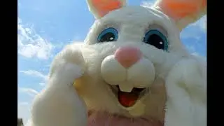 #13 Vrai ou faux : Les dents du lapin, caries et 