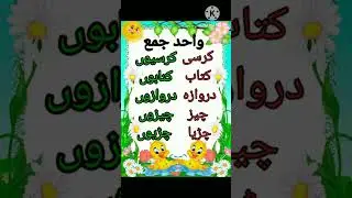 Wahid Jama/Wahid Jama Urdu Grammar/Singular Plural#ytshorts #youtube #shortsfeed #Learning is Fun