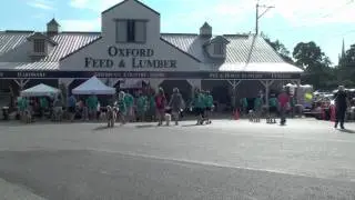 Whisker Walk.mov