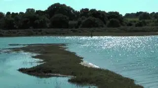 The Stour Estuary, Essex, August 2011
