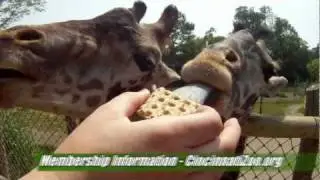 Zoo Membership Benefits - Cincinnati Zoo