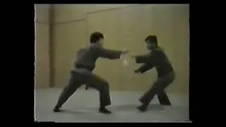 Someya sensei   Kihon Happo no kata