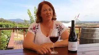 Vin Chicago 2016 Inara PinotNoir video