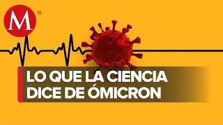 Caracter&iacute;sticas de la nueva variante '&Oacute;micron'
