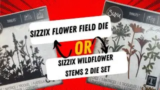 Sizzix Flower Field or Flower stems 2 set