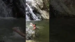 Perro nadador #familyvlog #diversion #cascada