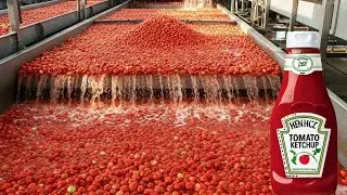 Inside Factory How Tomato Ketchup Is Made Using Modern Technology (Full Factory Process)